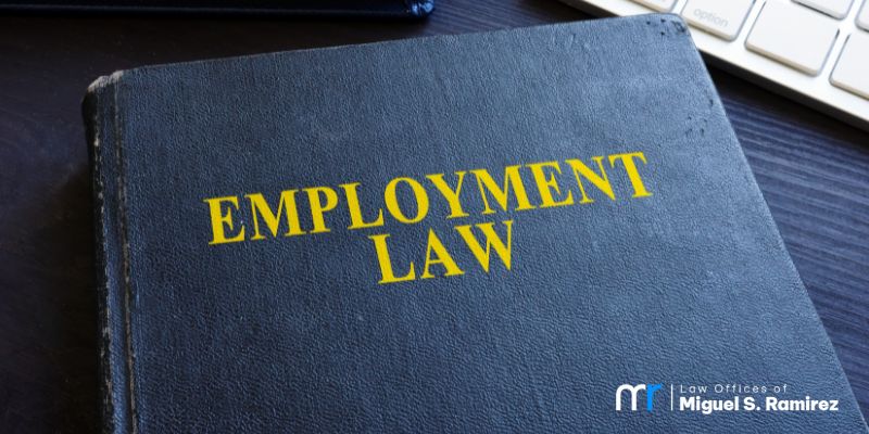 Marina del Rey Employment Lawyer