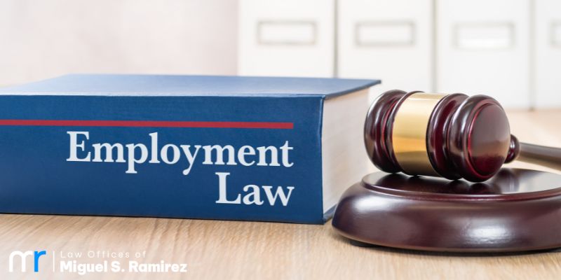 Culver City Employment Lawyer